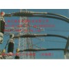 批發(fā)瑞侃110KV GIS插拔電力終端