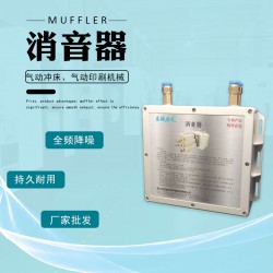 供應全自動罐裝封口機消音器 電磁閥消聲器